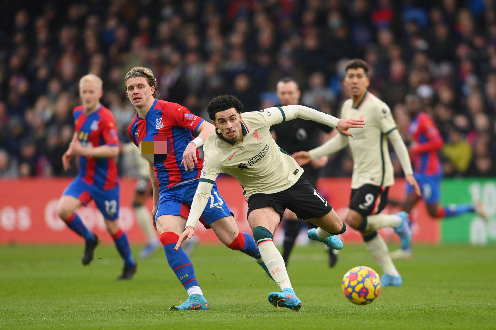 也能追溯到 也能追溯到